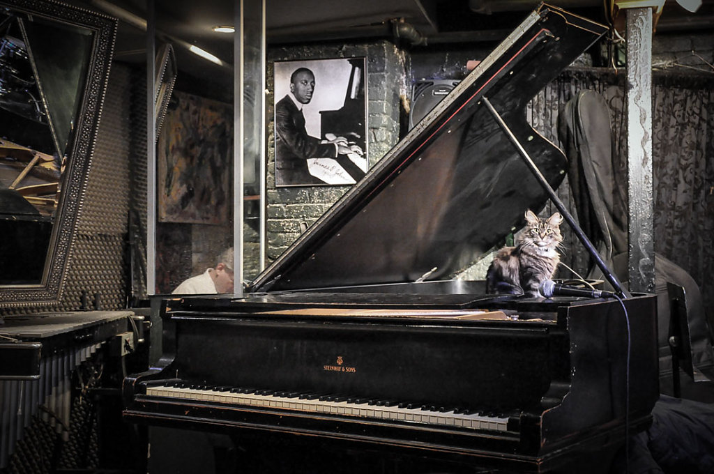 hans-kogler-newyork-city-smalls-jazzclub-corona-newsletter.jpg